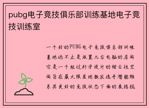 pubg电子竞技俱乐部训练基地电子竞技训练室